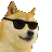 DEN_DogeVibe