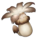 PhilanemoMushroom