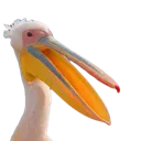 PelicanJamesWowee