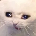 SCREAMING_AND_CRYING