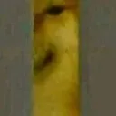 watching_you
