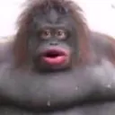 monke monke