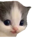 kiddoHehe