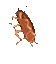 5999_DancingCockroach
