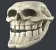 Troll_skull