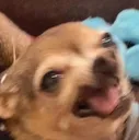 zzz