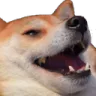 cursedkek