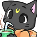 angelcatsip