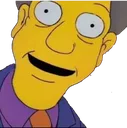 skinnerwhat