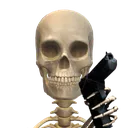 GarryGun