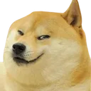 EvilDoge