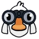 Birdwatcher Birdwatcher