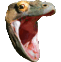 komodokomodochomp