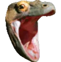 komodokomodochomp