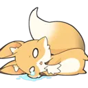 kyusad