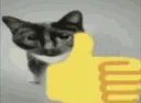 bueno