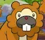 bidoof_stare