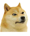 DogeAngry