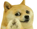 CryingDoge
