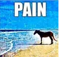 pain