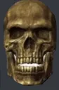 a_realisticskull
