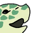 snyort snyort