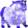 starhonse