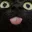 cat123 Discord Emoji