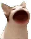 Pop