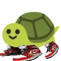 turtledrip