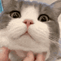 emoji_384