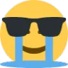 sadbutcool Discord Emoji