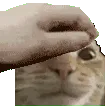 PETHIM PETHIM