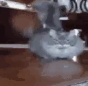 arrival_cat arrival_cat
