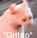 gritito