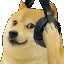 X10_dogmusic