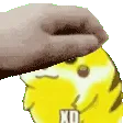 xdpat