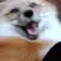TFA_FoxHyper TFA_FoxHyper