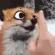 TFA_Booped TFA_Booped