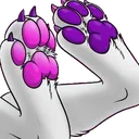DEN_Pawbs9