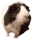 ReeseShock