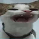 cctwscream
