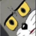 what_the what_the