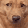 emoji_404