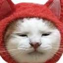 cathmm