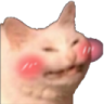 a_blush_cat_cute_kitty Discord emoji