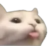a_cat_cute_kawaii_lick_1