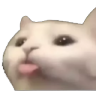 a_cat_cute_kawaii_lick_2 Discord emoji