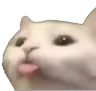 a_cat_cute_kawaii_lick_2