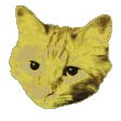 PartyCat